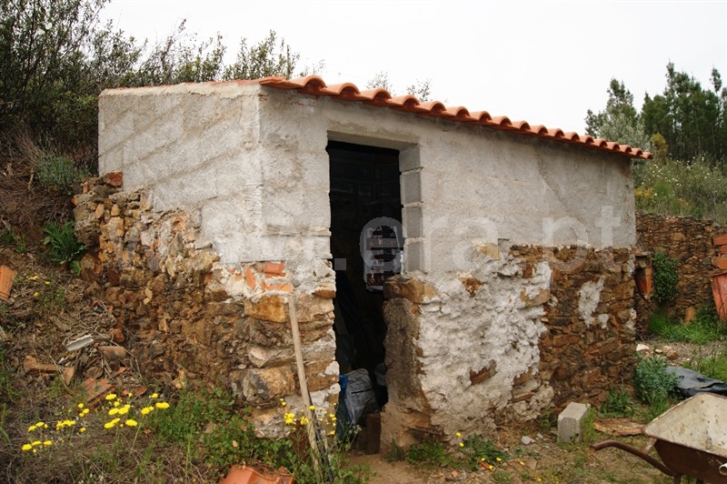 Terreno  Proença-a-Nova, Montes da Senhora - 635511 - 14