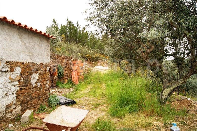 Terreno  Proença-a-Nova, Montes da Senhora - 635511 - 15