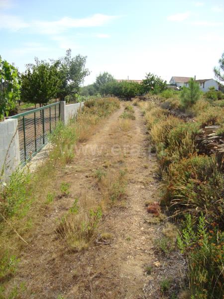 Terreno  Proença-a-Nova, Montes da Senhora - 666139 - 5