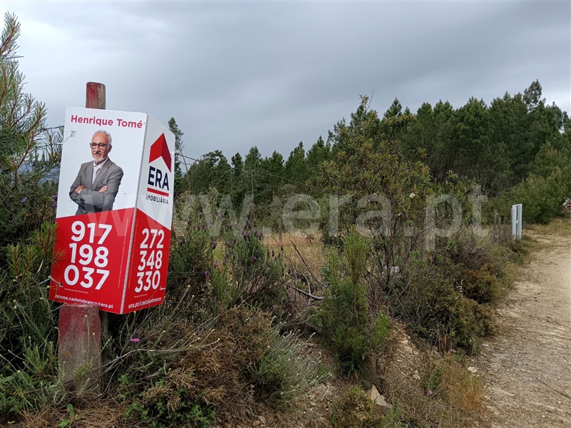 Terreno / Proença-a-Nova, Peral