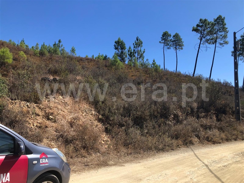 Terreno T0 Proença-a-Nova, Proença-a-Nova e Peral - 1422775 - 3
