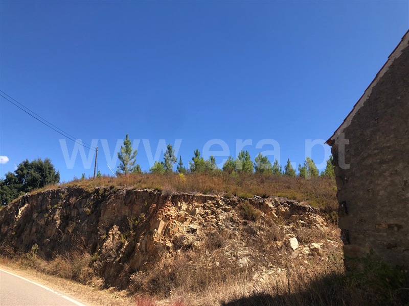 Terreno T0 Proença-a-Nova, Proença-a-Nova e Peral - 1422775 - 4