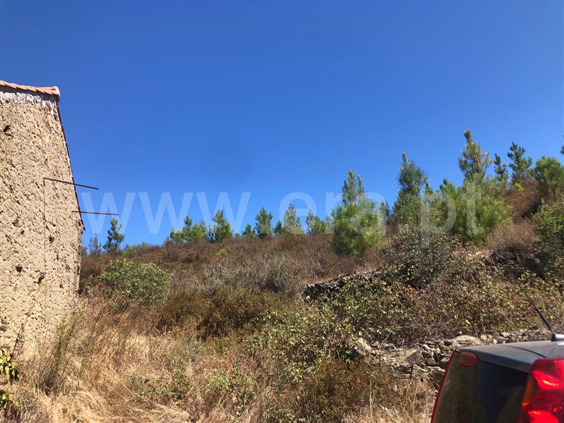Terreno T0 Proença-a-Nova, Proença-a-Nova e Peral - 1422775 - 5