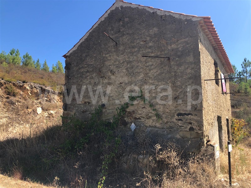Terreno T0 Proença-a-Nova, Proença-a-Nova e Peral - 1422775 - 6