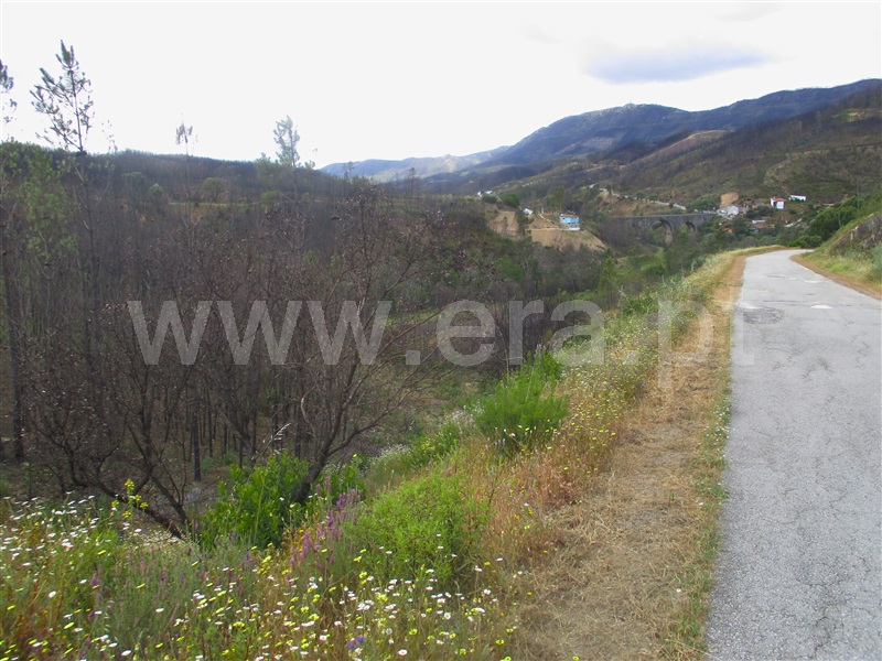 Terreno  Proença-a-Nova, Alvito da Beira - 1405474 - 11