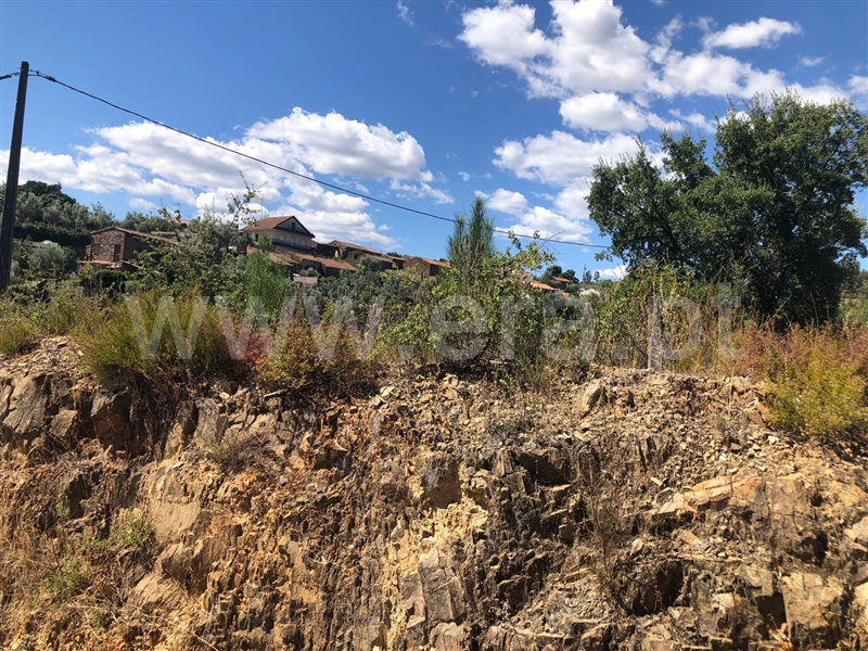 Terreno  Proença-a-Nova, Sobreira Formosa - 1440359 - 4