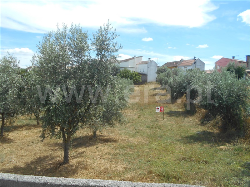 Terreno / Proença-a-Nova, Sobreira Formosa