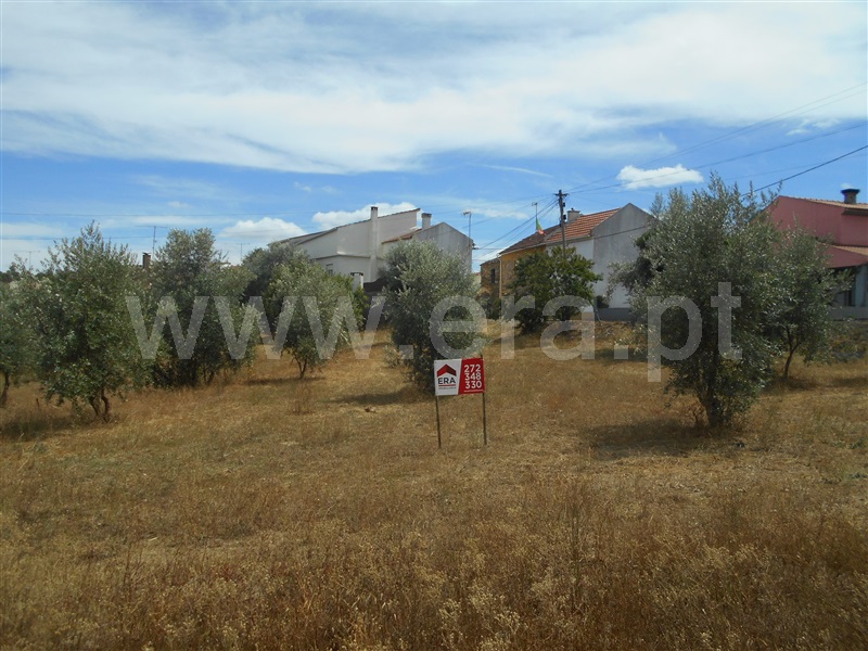 Terreno / Proença-a-Nova, Sobreira Formosa