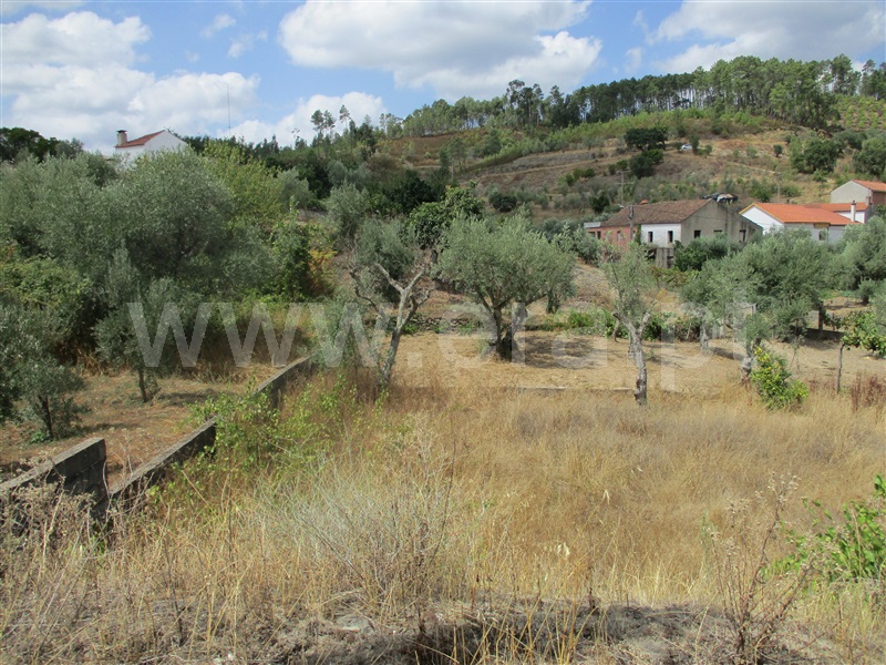 Terreno  Proença-a-Nova, Sobreira Formosa - 1294257 - 3