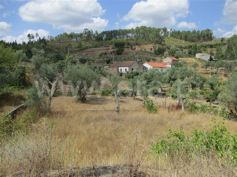 Terreno  Proença-a-Nova, Sobreira Formosa - 1294257 - 4