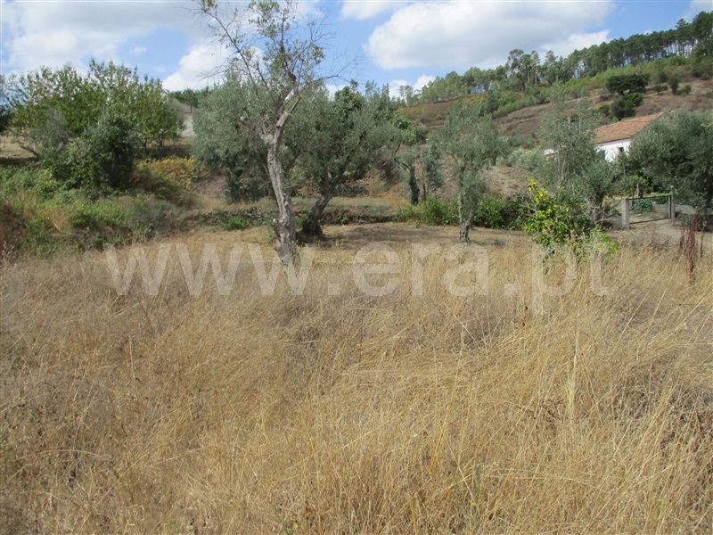 Terreno  Proença-a-Nova, Sobreira Formosa - 1294257 - 6