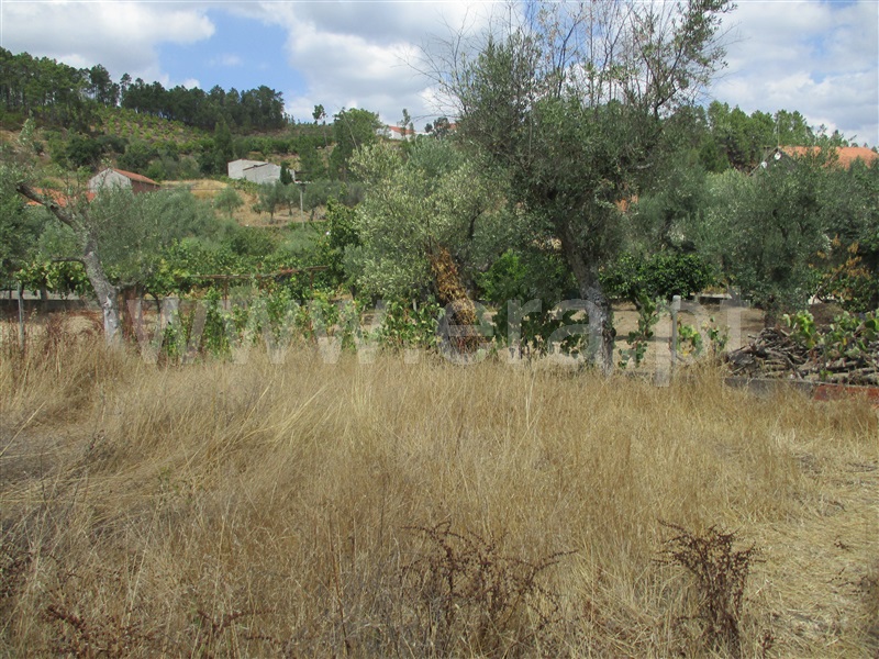 Terreno  Proença-a-Nova, Sobreira Formosa - 1294257 - 7
