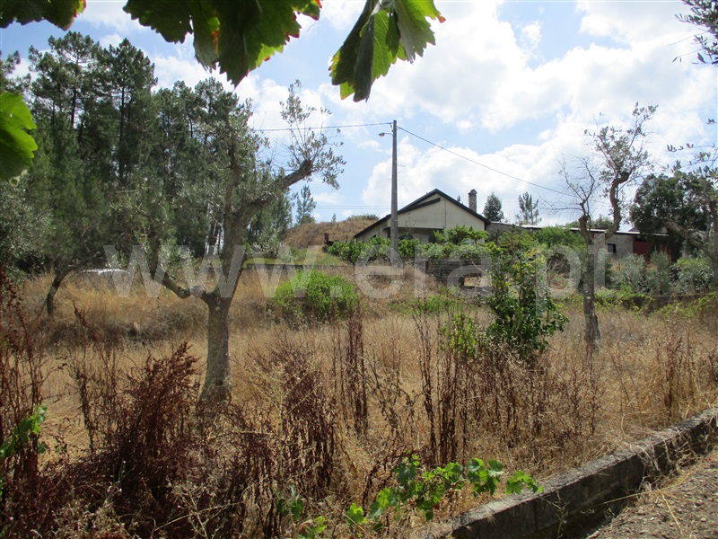 Terreno  Proença-a-Nova, Sobreira Formosa - 1294257 - 8