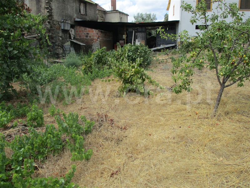 Terreno  Proença-a-Nova, Sobreira Formosa - 1294257 - 10