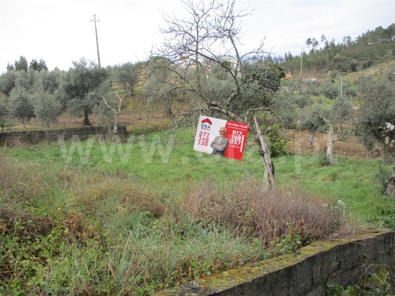 Terreno  Proença-a-Nova, Sobreira Formosa - 1294257 - 11