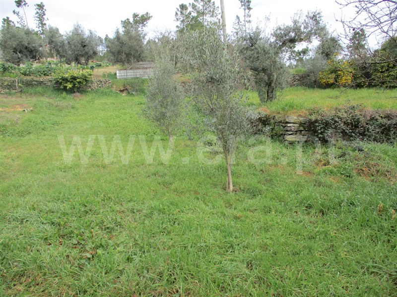 Terreno  Proença-a-Nova, Sobreira Formosa - 1294257 - 13
