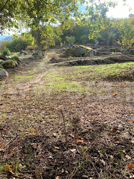 Terreno  Resende, Anreade e São Romão de Aregos - 1289443 - 1