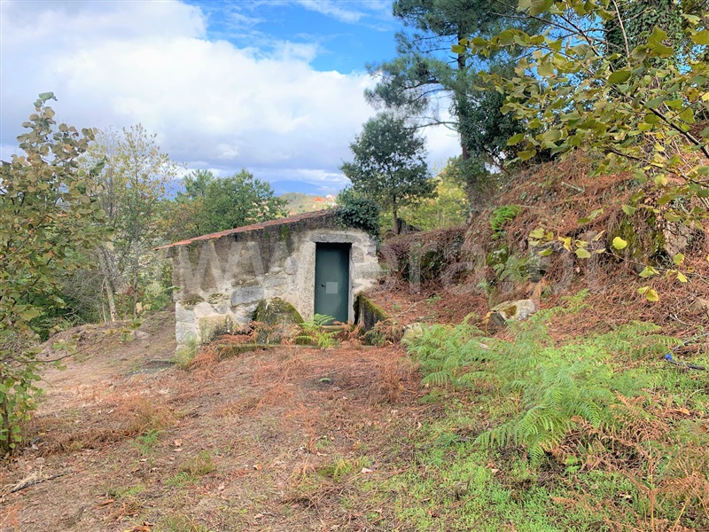 Terreno  Resende, Anreade e São Romão de Aregos - 1289443 - 3