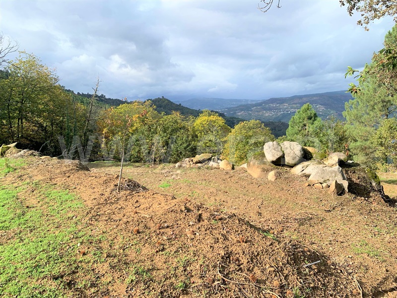 Terreno  Resende, Anreade e São Romão de Aregos - 1289443 - 4