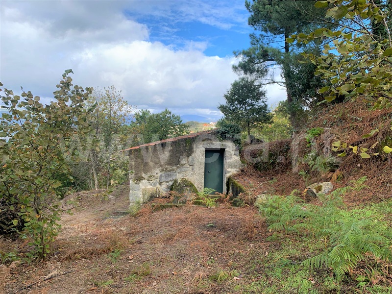 Terreno  Resende, Anreade e São Romão de Aregos - 1289443 - 7