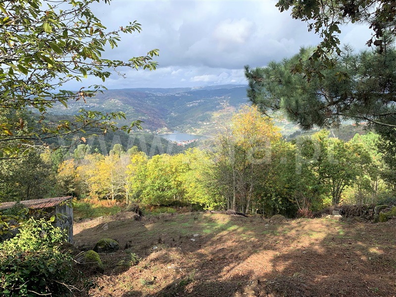 Terreno / Resende, Anreade e São Romão de Aregos