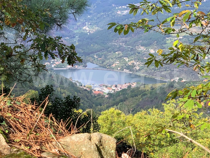 Terreno  Resende, Anreade e São Romão de Aregos - 1289443 - 12