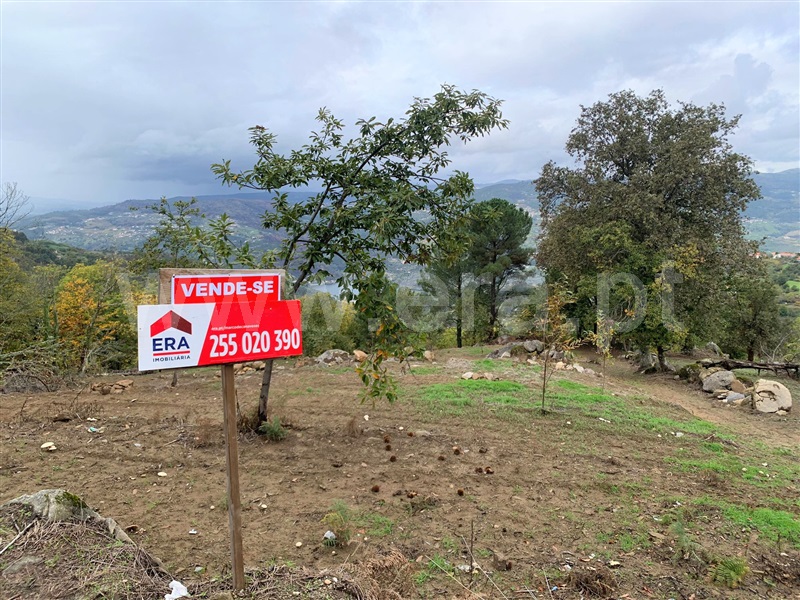 Terreno  Resende, Anreade e São Romão de Aregos - 1289443 - 13