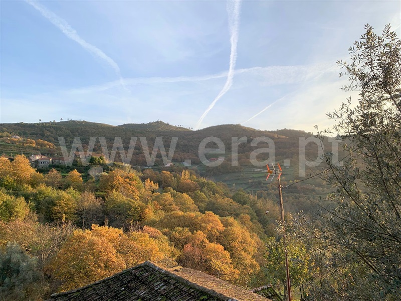 Terreno / Resende, Anreade e São Romão de Aregos