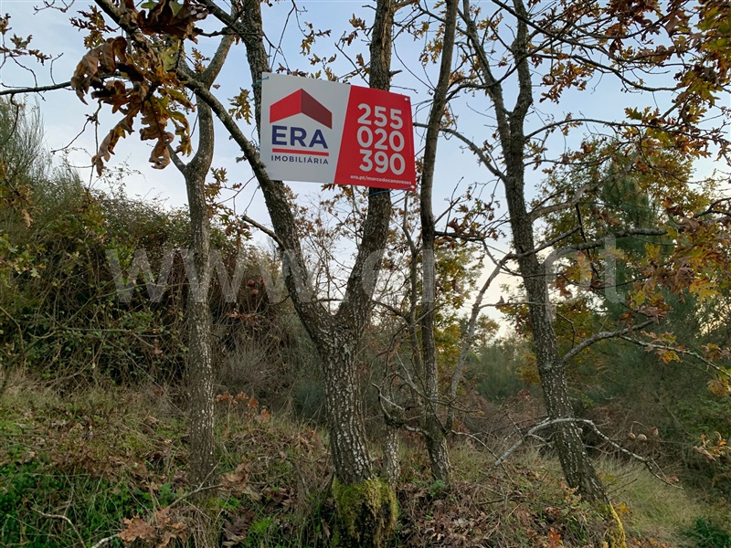 Terreno / Resende, Anreade e São Romão de Aregos