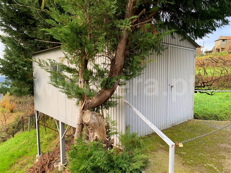 Terreno  Resende, Anreade e São Romão de Aregos - 1293849 - 1