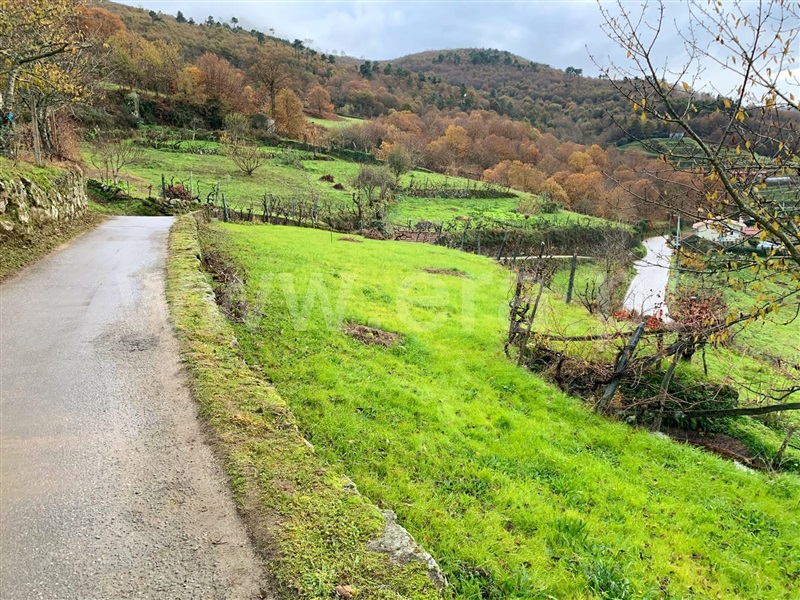 Terreno  Resende, Anreade e São Romão de Aregos - 1293849 - 7