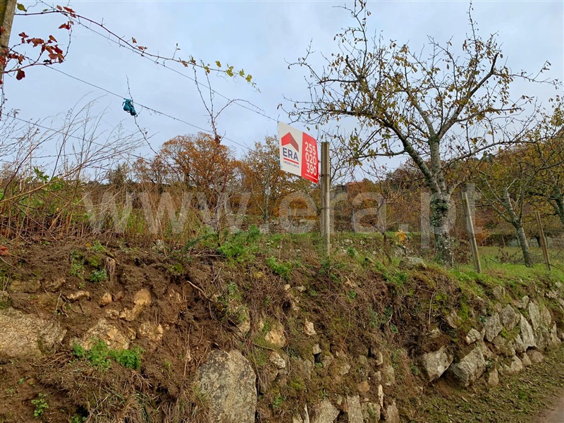 Terreno  Resende, Anreade e São Romão de Aregos - 1293849 - 9