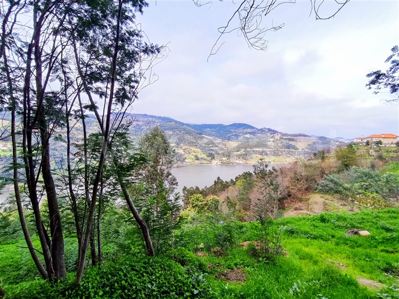 Terreno / Resende, Anreade e São Romão de Aregos