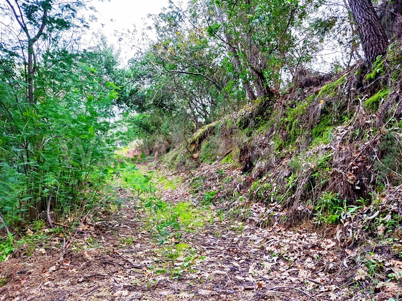 Terreno  Resende, Anreade e São Romão de Aregos - 1381833 - 7