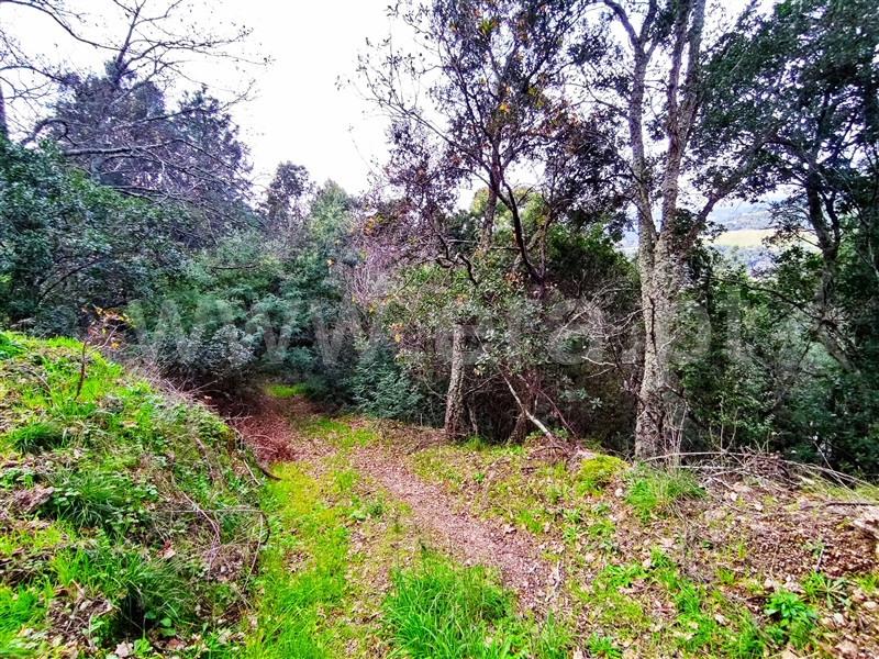 Terreno  Resende, Anreade e São Romão de Aregos - 1381833 - 8