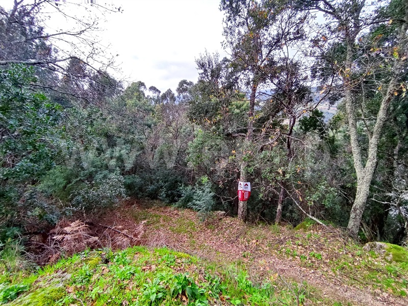 Terreno  Resende, Anreade e São Romão de Aregos - 1381833 - 10