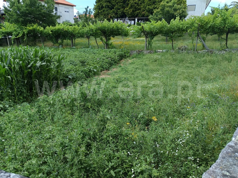 Terreno  Resende, Anreade e São Romão de Aregos - 1415920 - 2