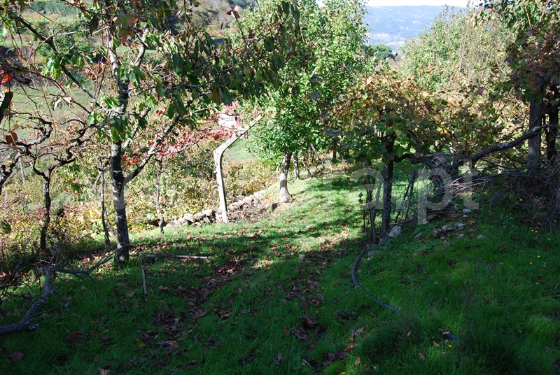 Terreno  Resende, Cárquere - 1455409 - 2