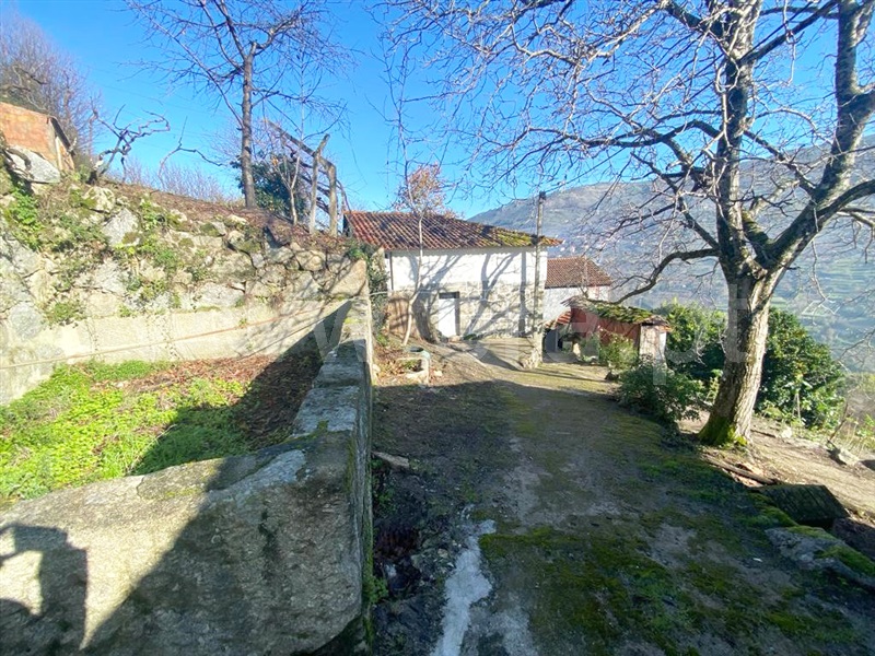 Terreno  Resende, Paus - 1374532 - 1