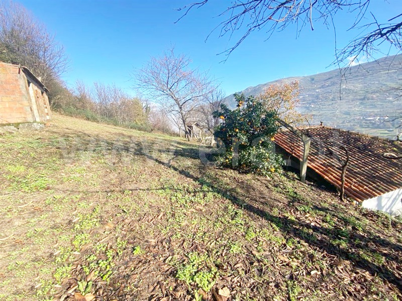 Terreno  Resende, Paus - 1374532 - 2