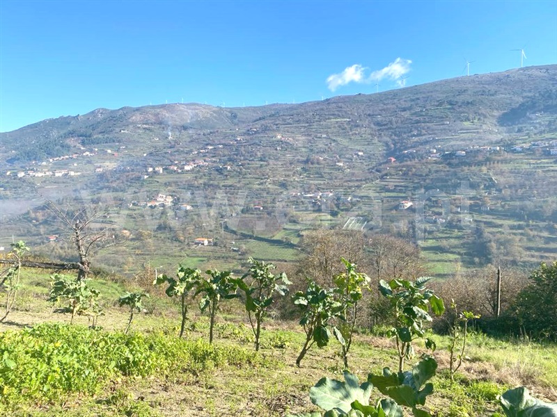 Terreno  Resende, Paus - 1374532 - 15