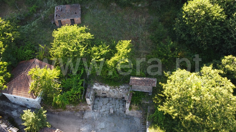 Terreno  Resende, Paus - 1374532 - 20