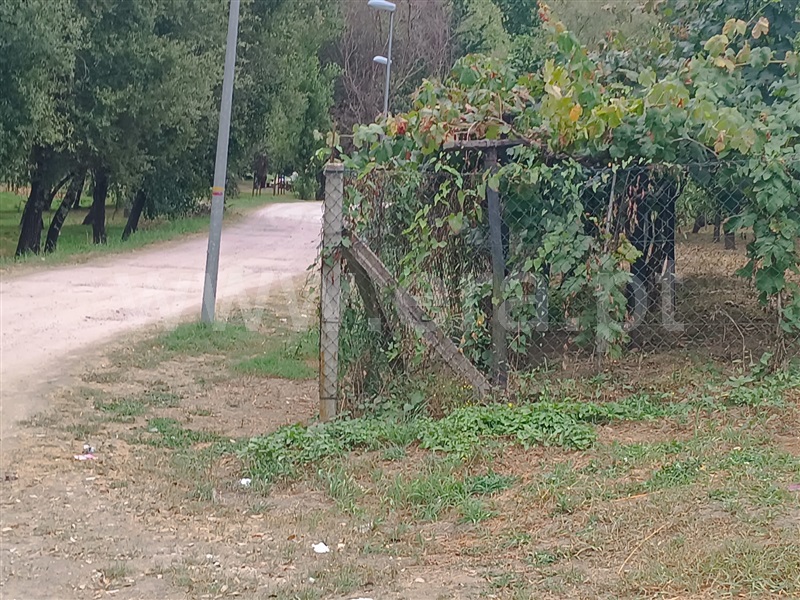 Terreno / Resende, São João de Fontoura