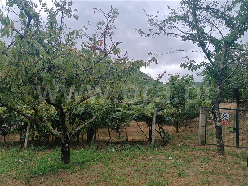 Terreno  Resende, São João de Fontoura - 1343139 - 4