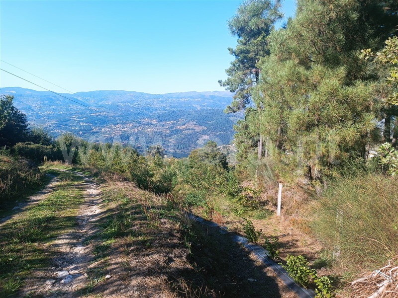 Terreno  Resende, São João de Fontoura - 1364710 - 3