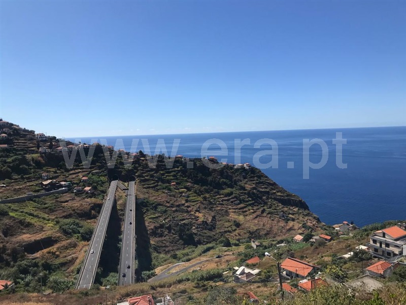 Terreno / Ribeira Brava, Campanário