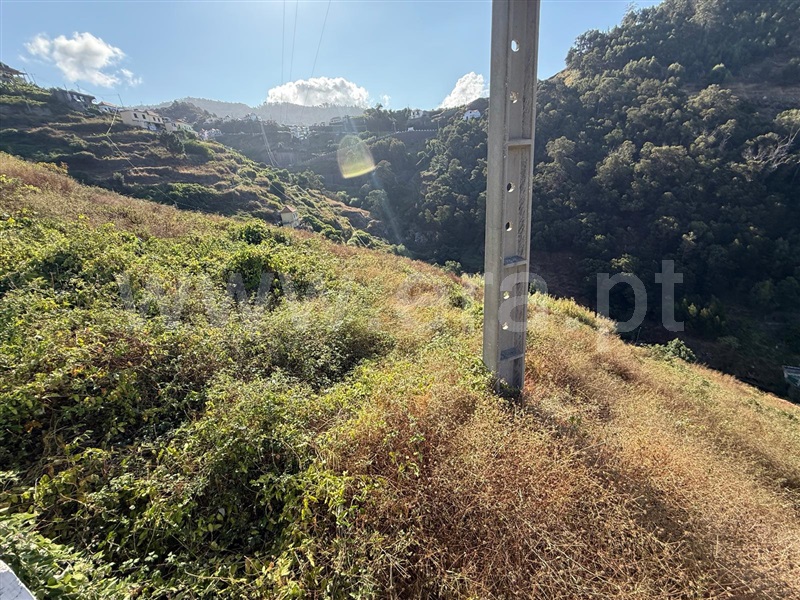 Terreno  Ribeira Brava, Campanário - 1501742 - 2