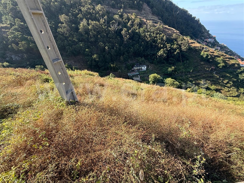 Terreno  Ribeira Brava, Campanário - 1501742 - 4