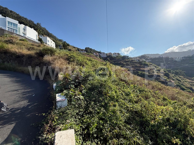 Terreno  Ribeira Brava, Campanário - 1501742 - 8
