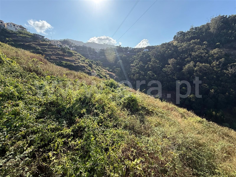 Terreno  Ribeira Brava, Campanário - 1501742 - 9